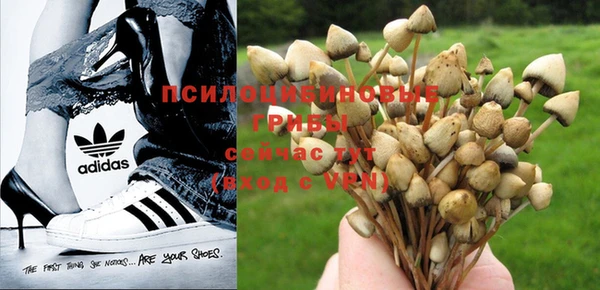 синтетический гашиш Арсеньев